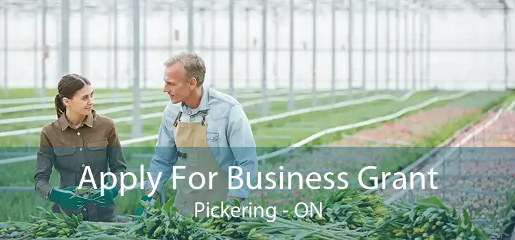 Apply For Business Grant Pickering - ON